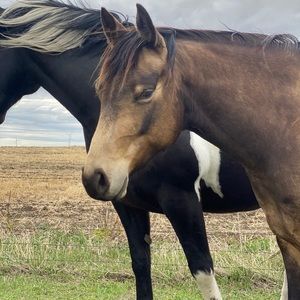 Meet your Posher, Lynn